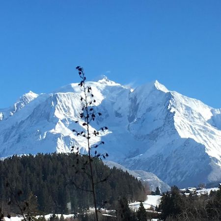 Les 4 Vallees Hotell Albertville Exteriör bild